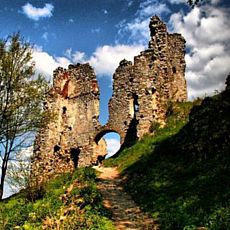 Відкрита лекція «Словацький досвід збереження пам'яток замкової архітектури»